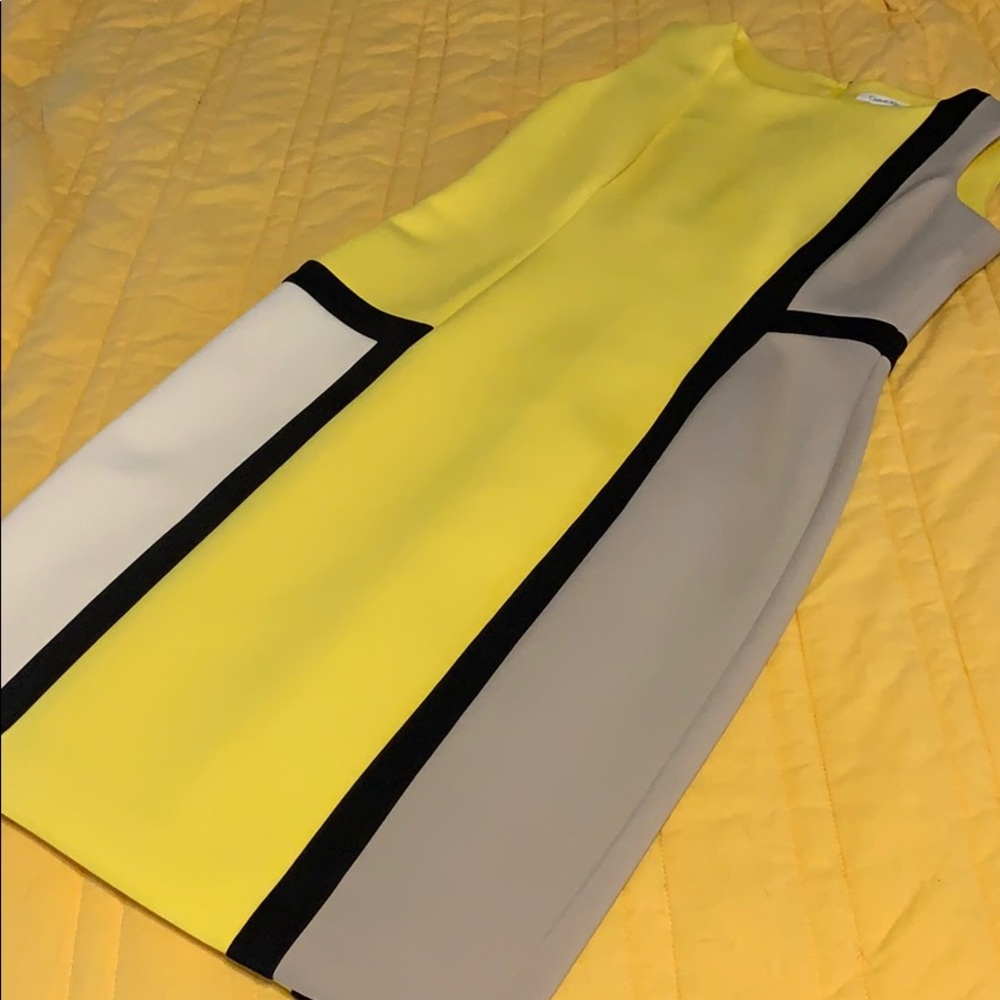 Calvin Klein Shift Dress